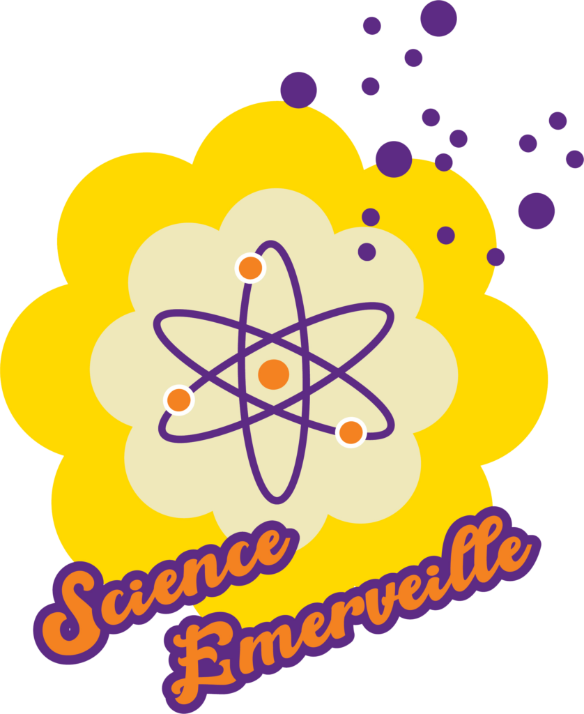 logo science enmerveille