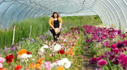 Photographier et dessiner, avec la poésie du vivant – Diane T